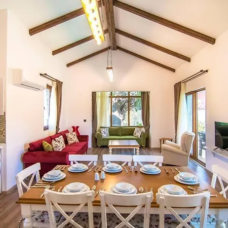 Villa Oezel Havuzlu Genis Aile Villasi *